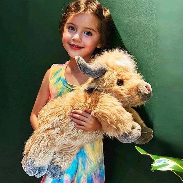 Sød Highland Ko Bamse