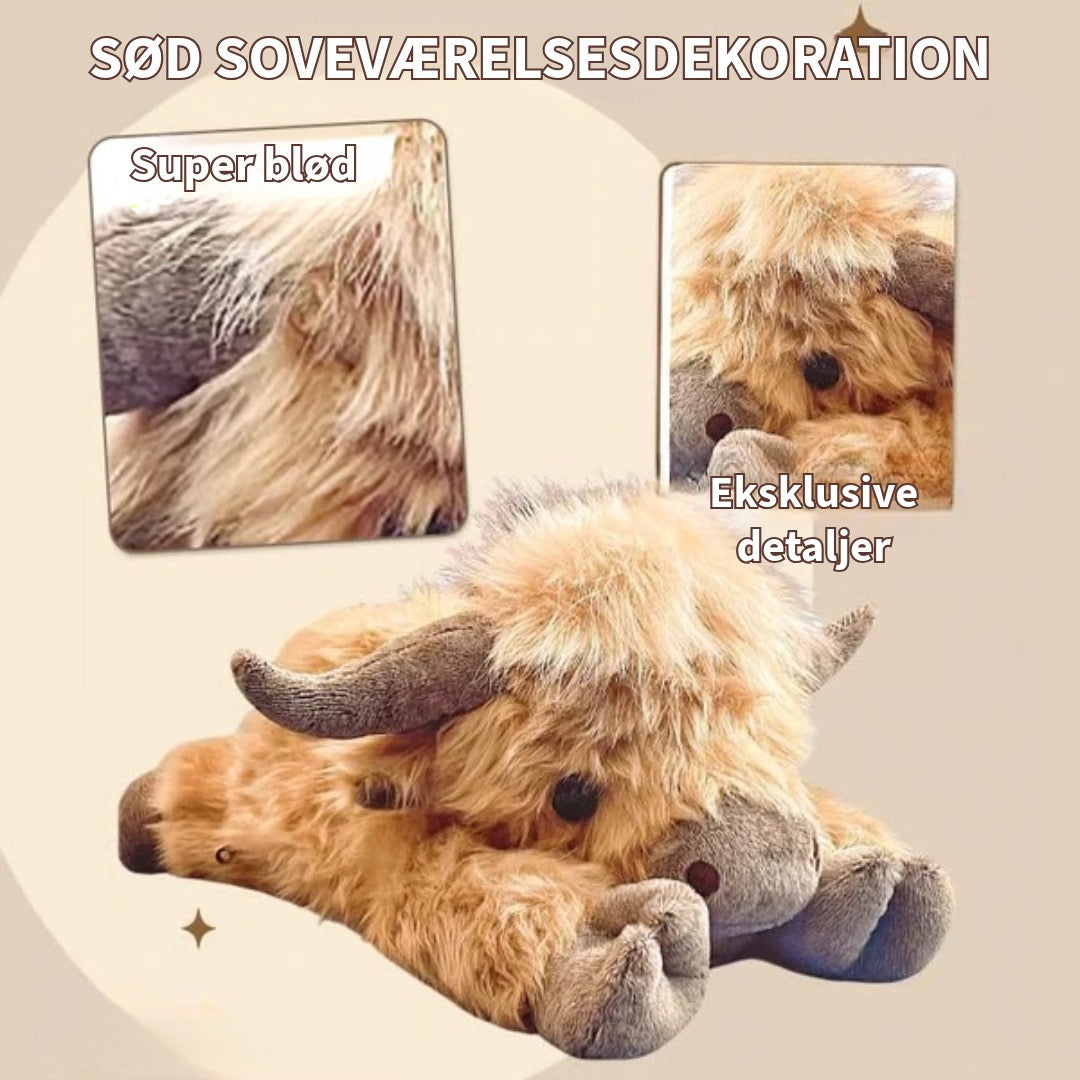 Sød Highland Ko Bamse