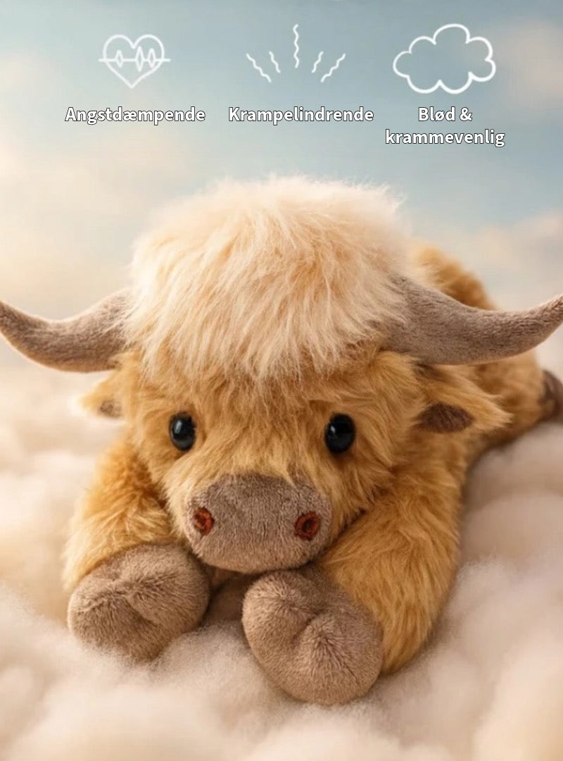 Sød Highland Ko Bamse