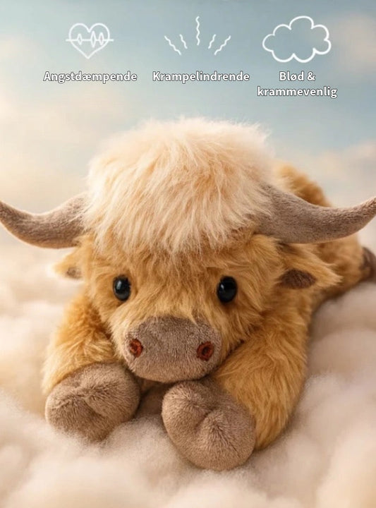 Sød Highland Ko Bamse